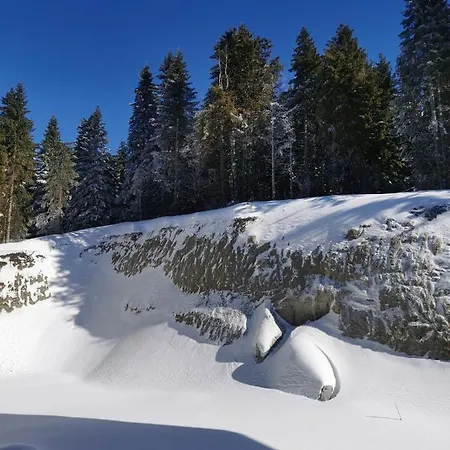 Lejlighed Kai Kopaonik